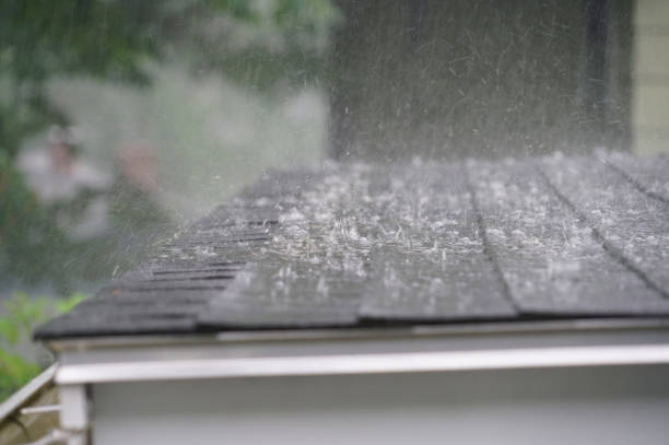 Best Roof Repair  in , AL
